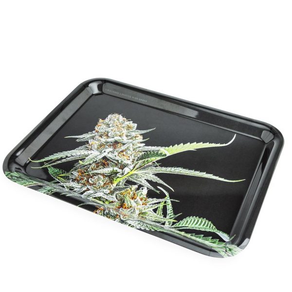 Seattle High Group Rolling Tray
